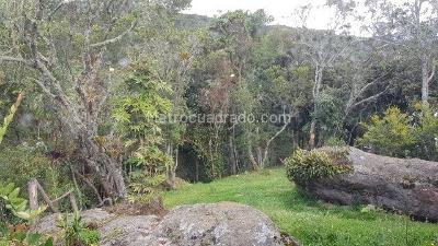 Casa de 3 alcobas en venta en Vereda Fusca, Chía, 257 m² · foto 6 de 10