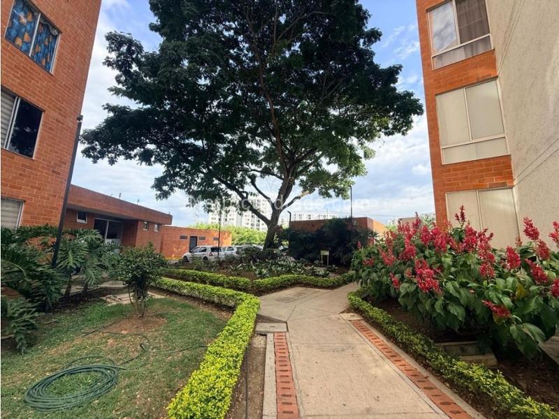 Piso – Cali - Vista 5