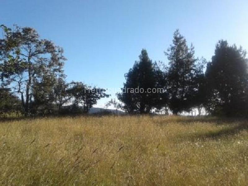 Lote en Venta, REFUGIO CAMPESTRE, Chía - Vista 2