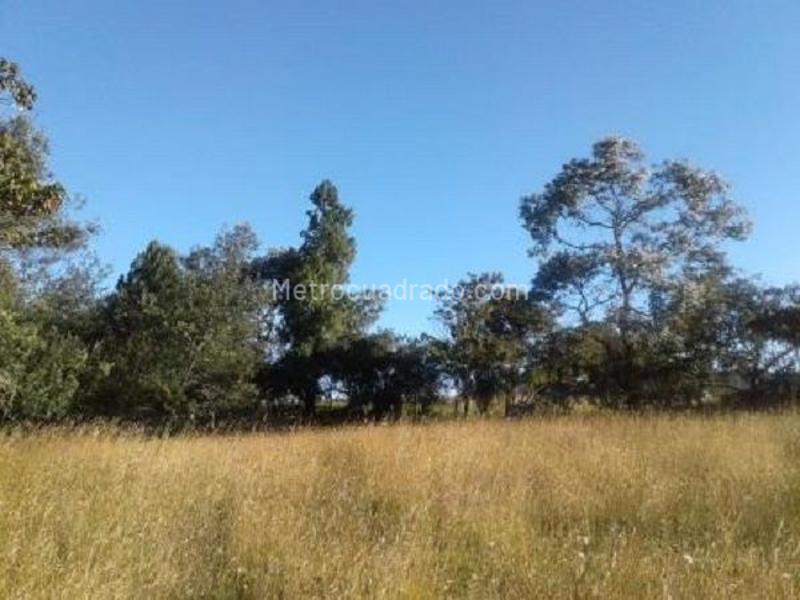 Lote en Venta, REFUGIO CAMPESTRE, Chía - Vista 3