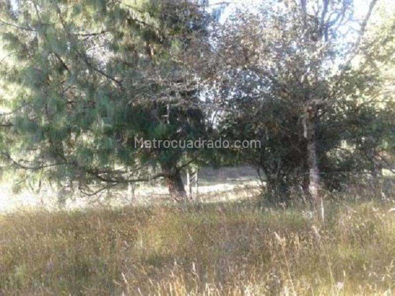 Lote en Venta, REFUGIO CAMPESTRE, Chía - Vista 4