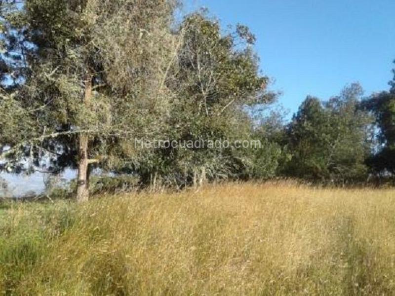 Lote en Venta, REFUGIO CAMPESTRE, Chía - Vista 5