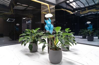 Apartaestudio en arriendo en Chico Norte, Bogotá, 17 m² · foto 10 de 20