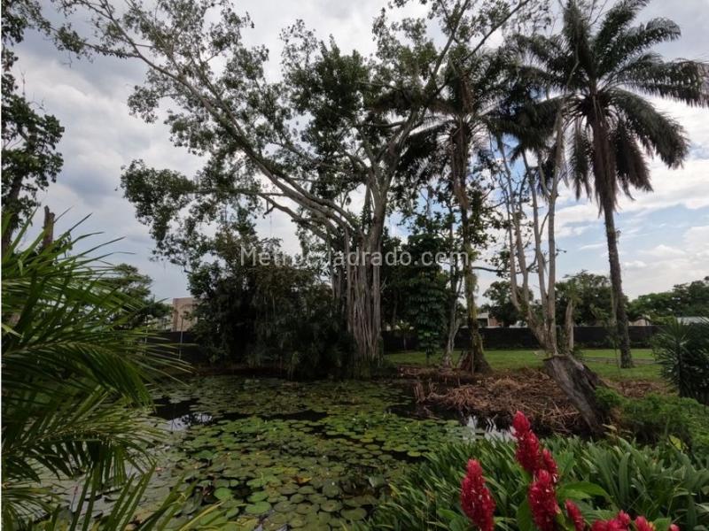 Casa – Cali, Ulpiano Lloreda, Comuna 13 - Vista 4