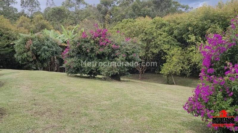 Casa en Arriendo, Barro Blanco, Rionegro - 5