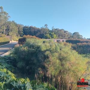 Casa de 3 alcobas en venta en Llanogrande, Rionegro, 279 m² · foto 20 de 20