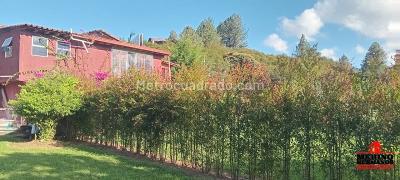 Casa de 5 alcobas en venta en Corredor San Antonio La Ceja, Rionegro, 380 m² · foto 4 de 17