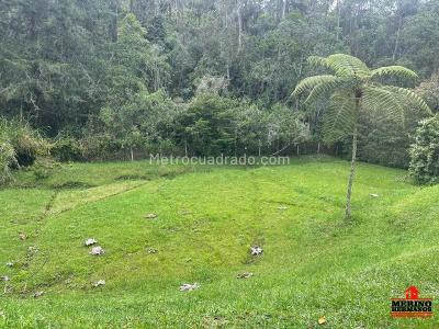Casa de 3 alcobas en venta en Aeropuerto, Rionegro, 257 m² · foto 18 de 20