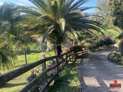 Casa de 4 alcobas en venta en Vereda El Capiro, Rionegro, 450 m² · foto 6 de 20