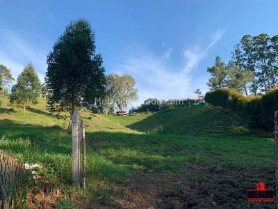Casa de 4 alcobas en venta en Vereda El Capiro, Rionegro, 450 m² · foto 10 de 20