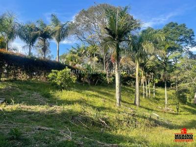 Casa de 4 alcobas en venta en Vereda El Capiro, Rionegro, 450 m² · foto 12 de 20