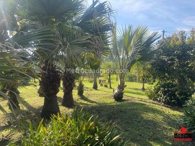 Casa de 4 alcobas en venta en Vereda El Capiro, Rionegro, 450 m² · foto 16 de 20