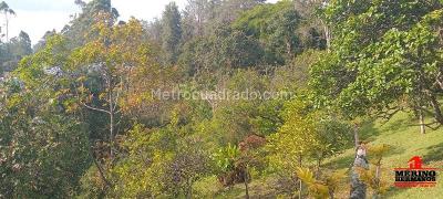 Casa de 4 alcobas en venta en San Antonio De Pereira, Rionegro, 340 m² · foto 17 de 20