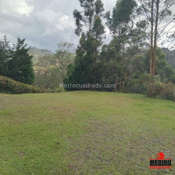 Lote en Venta, Llanogrande, Rionegro - Vista 3