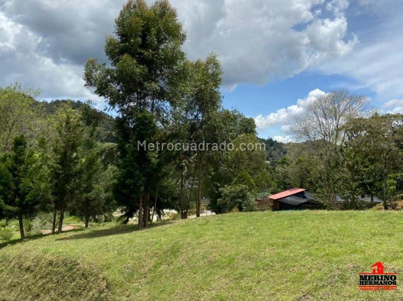 Lote en Venta, Llanogrande, Rionegro - Vista 5