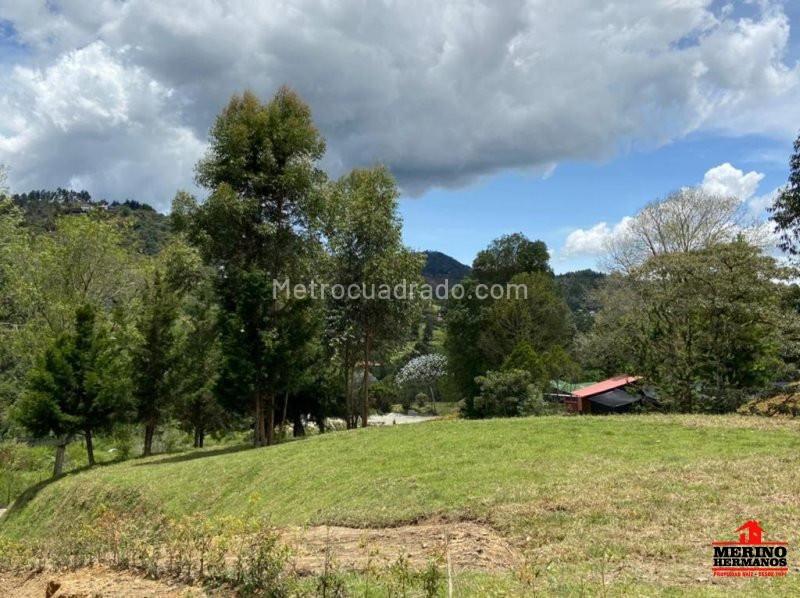 Lote en Venta, Llanogrande, Rionegro - Más