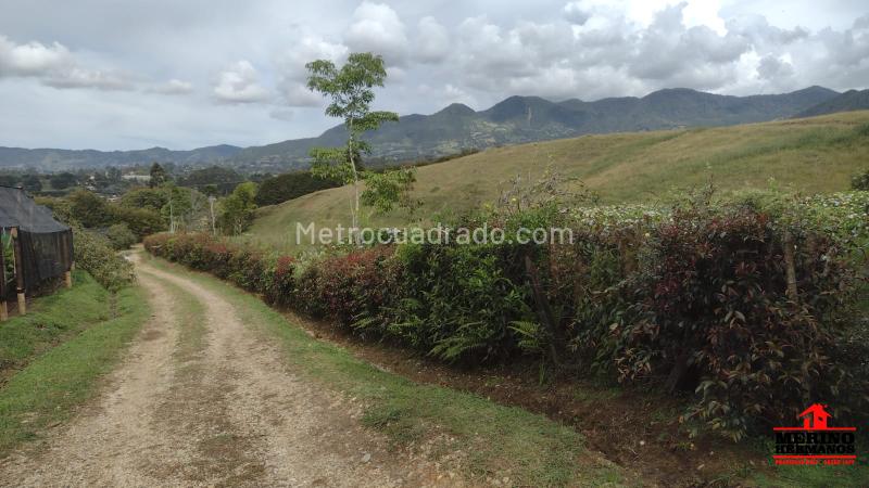 Lote en Venta, El Capiro, Rionegro - Vista 2