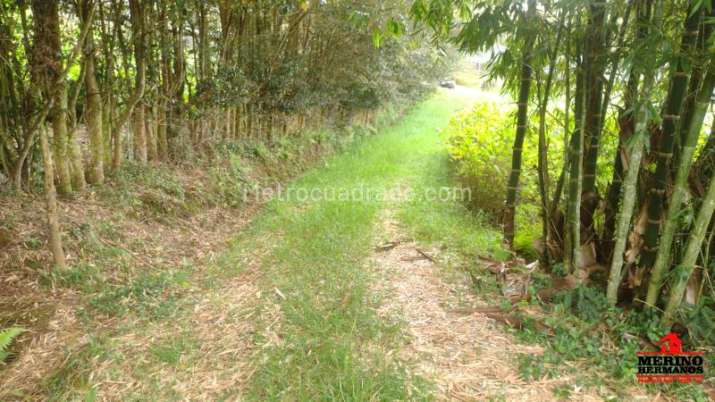 Lote en Venta, El Capiro, Rionegro - Vista 4