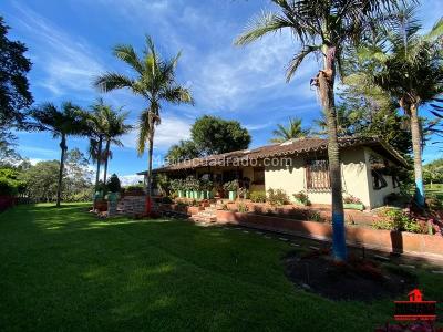 Casa de 4 alcobas en venta en San Antonio De Pereira, Rionegro · foto 7 de 20
