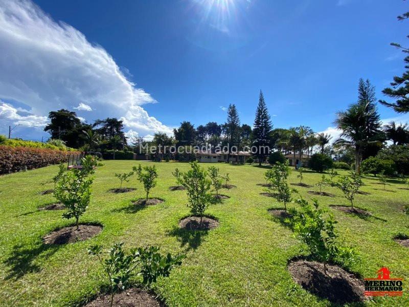 Casa en Arriendo, San Antonio De Pereira, Rionegro - 4
