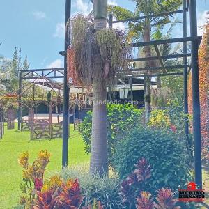 Casa de 4 alcobas en venta en Rionegro, Rionegro, 1400 m² · foto 12 de 20