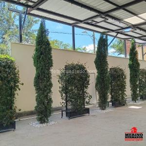 Casa de 4 alcobas en venta en Rionegro, Rionegro, 1400 m² · foto 17 de 20