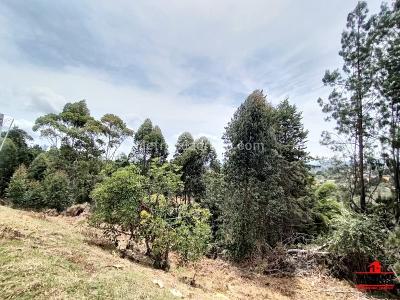 Casa de 4 alcobas en arriendo en Aeropuerto, Rionegro, 270 m² · foto 19 de 20