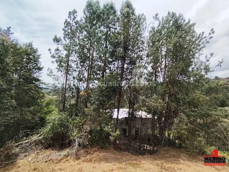 4BR House in Aeropuerto (270 m²) - 5