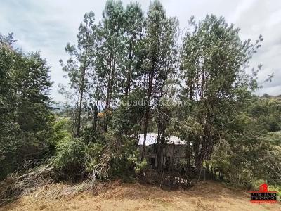 Casa de 4 alcobas en venta en Aeropuerto, Rionegro, 270 m² · foto 5 de 20