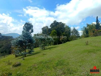 Casa de 3 alcobas en venta en Corredor San Antonio La Ceja, Rionegro · foto 5 de 19