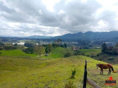 Casa de 3 alcobas en venta en Corredor San Antonio La Ceja, Rionegro · foto 7 de 19