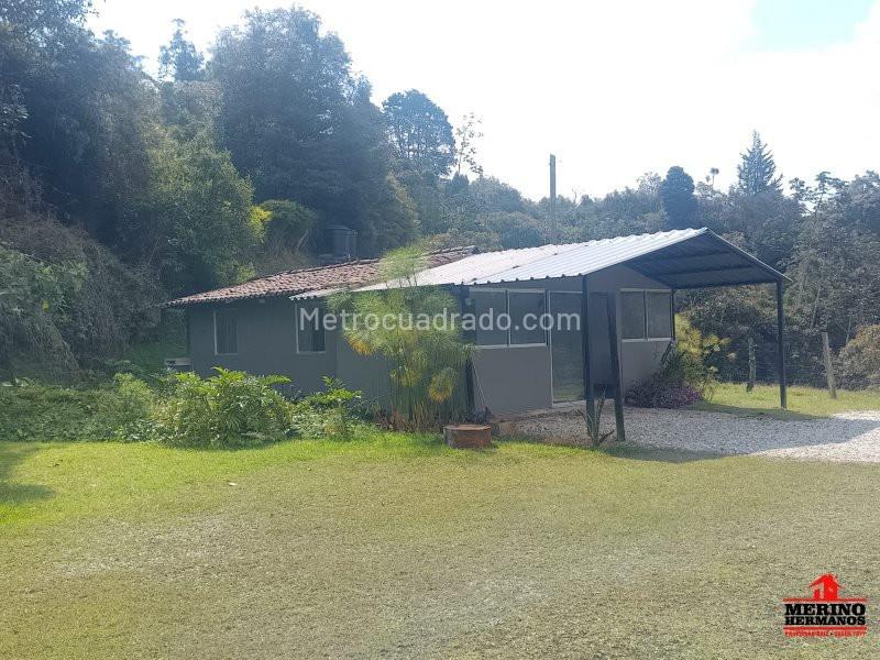 Charming 2BR Cabin for Rent in La Fe, El Retiro - 3