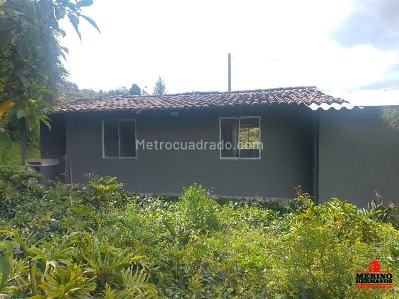 Charming 2BR Cabin for Rent in La Fe, El Retiro - 5