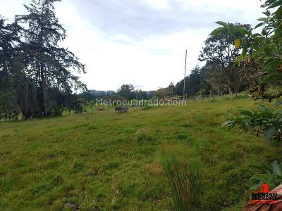 Casa de 3 alcobas en venta en Aeropuerto, Rionegro, 150 m² · foto 8 de 20