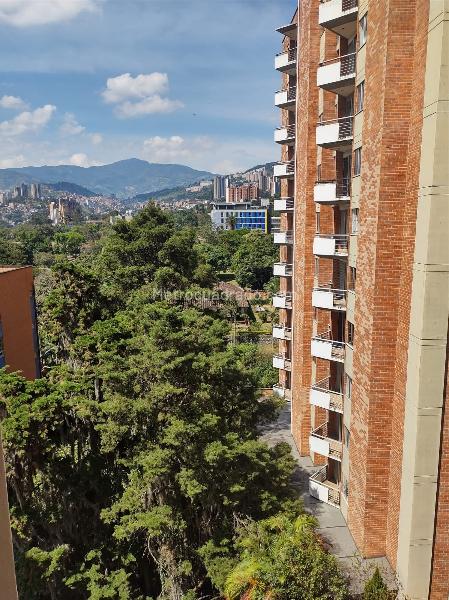 Bright 2BR Apartment in La Pilarica - 7