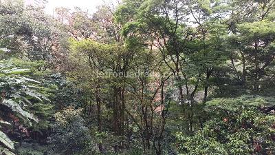Apartamento de 2 alcobas en venta en La Concha, Medellín, 171 m² · foto 11 de 20