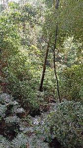 Apartamento en venta en El Esmeraldal, Envigado · foto 17 de 20