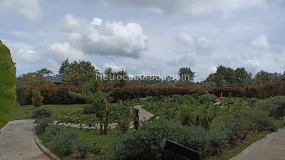 Apartamento de 2 alcobas en venta en Alto De Palmas, Envigado, 100 m² · foto 5 de 17