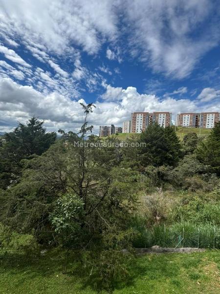 1BR Apartment in El Porvenir (54 m²) - 5