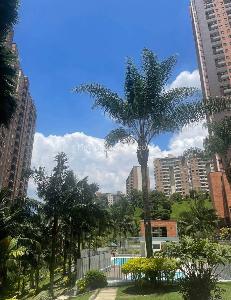 Apartamento de 2 alcobas en arriendo en El Rodeo, Medellín, 55 m² · foto 19 de 19