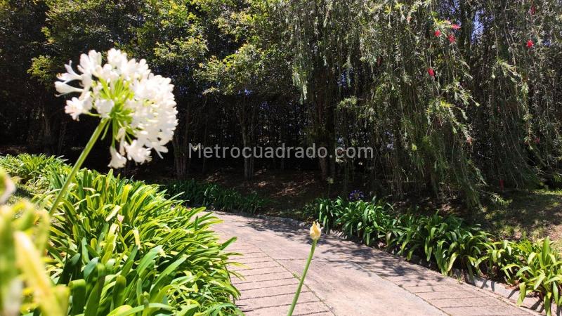 Casa – Sajonia, Rionegro - Vista 2