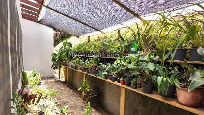Casa de 3 alcobas en venta en Sajonia, Rionegro, 318 m² · foto 12 de 20