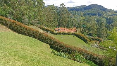Casa de 3 alcobas en venta en Sajonia, Rionegro, 371 m² · foto 10 de 20
