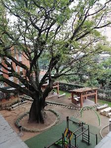 Apartamento de 2 alcobas en venta en Niquia, Bello, 58 m² · foto 14 de 19