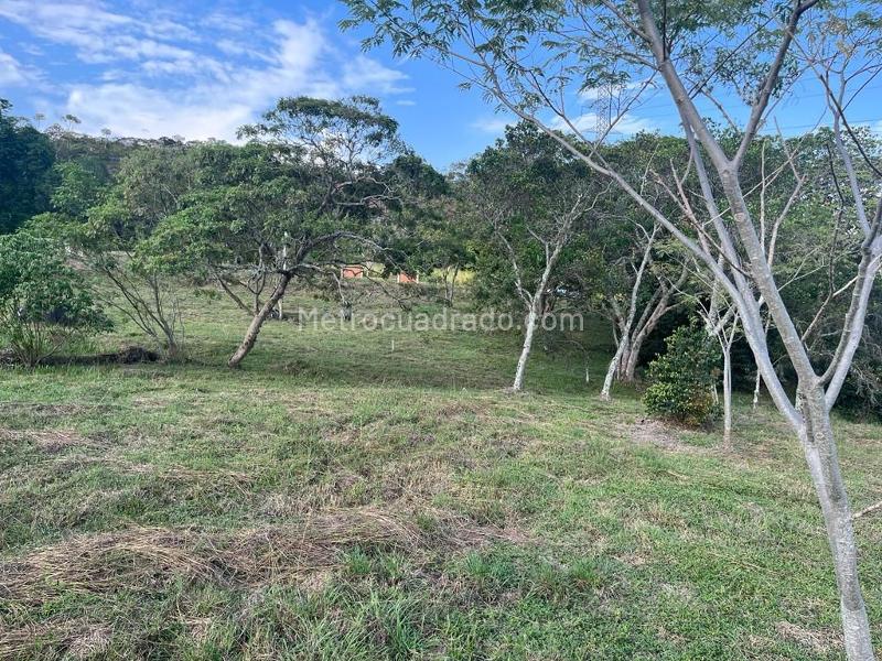 Lote en Venta, PARCELACIONES PANCE, Cali - Όψη 3