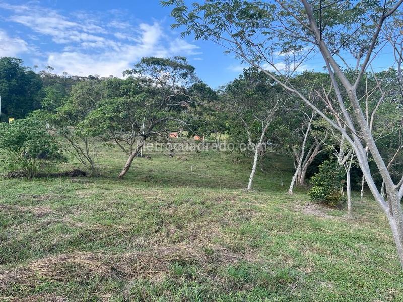 Lote en Venta, PARCELACIONES PANCE, Cali - Όψη 4
