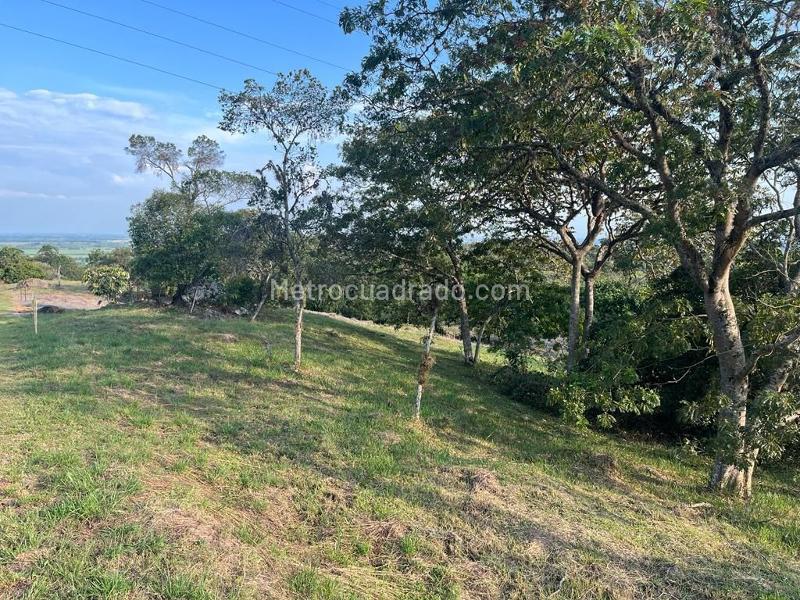 Lote en Venta, PARCELACIONES PANCE, Cali - Όψη 5