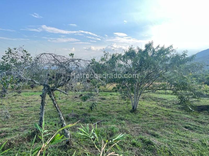 Lote en Venta, PARCELACIONES PANCE, Cali - Περισσότερα