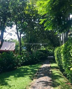 Casa de 4 alcobas en venta en Parcelaciones Pance, Cali, 300 m² · foto 16 de 17