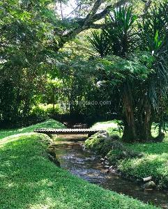 Casa de 4 alcobas en venta en Parcelaciones Pance, Cali, 300 m² · foto 4 de 17